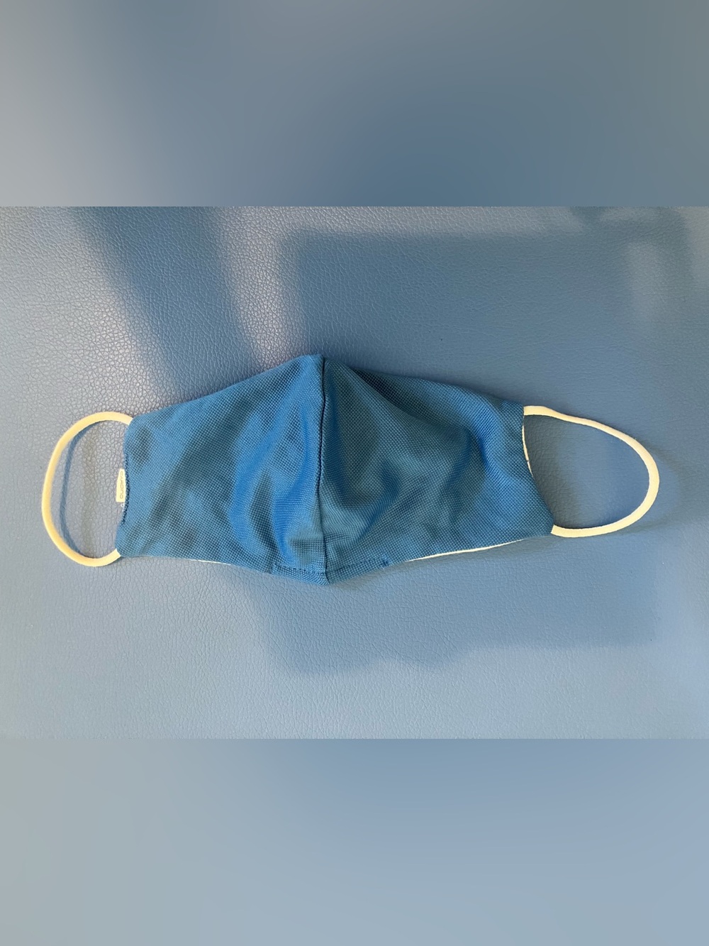 Blue Cloth Face Mask